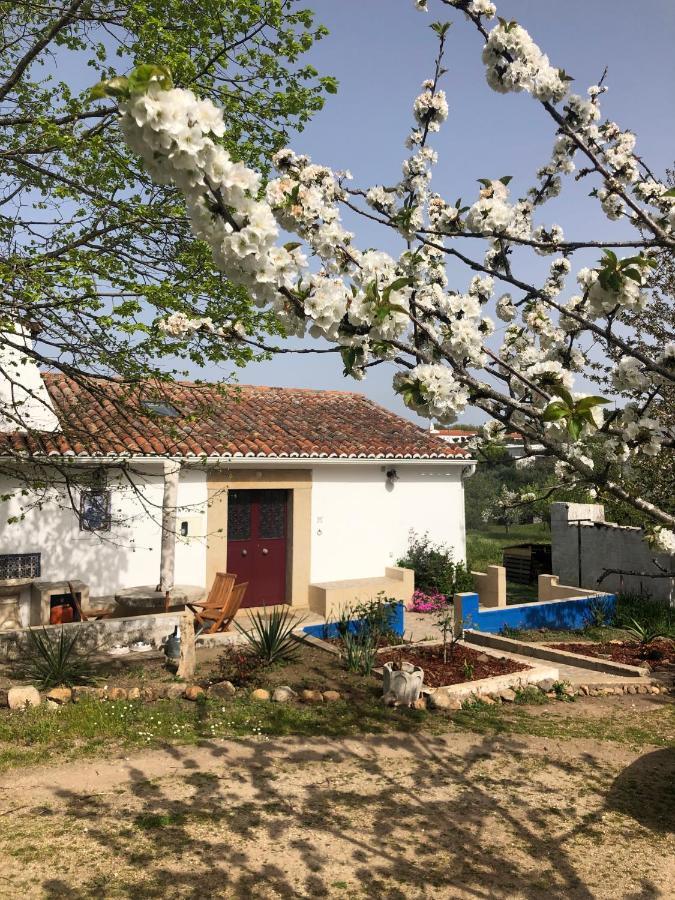 Ola Linda - Casa De Campo - Castelo de Vide Zewnętrze zdjęcie